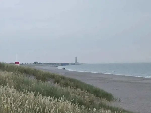 Bild 6 von 40