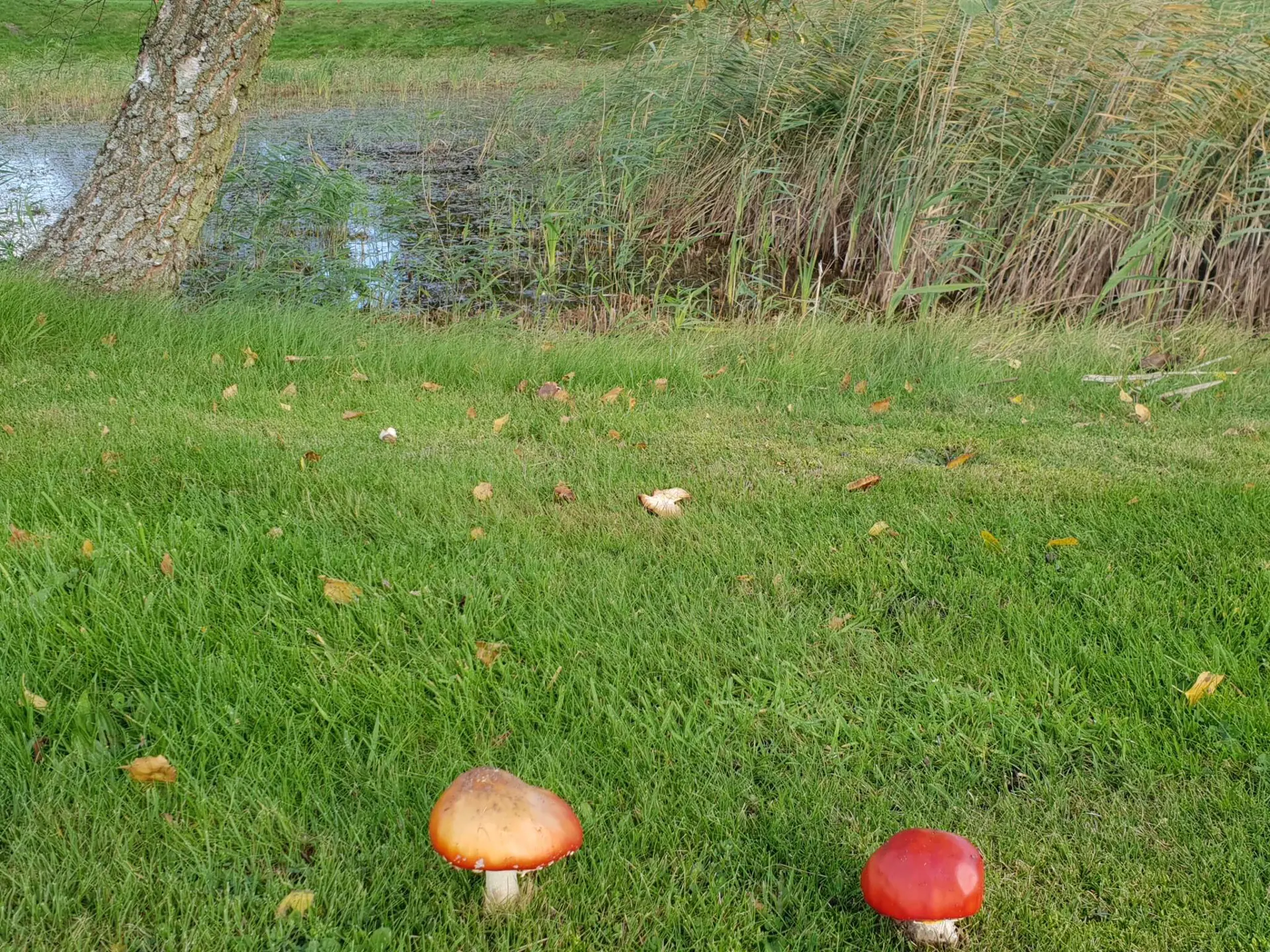 Bild 35 von 35