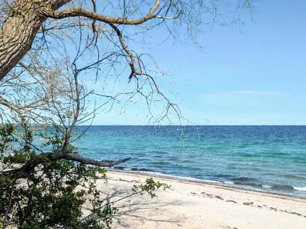 Bild 35 von 43