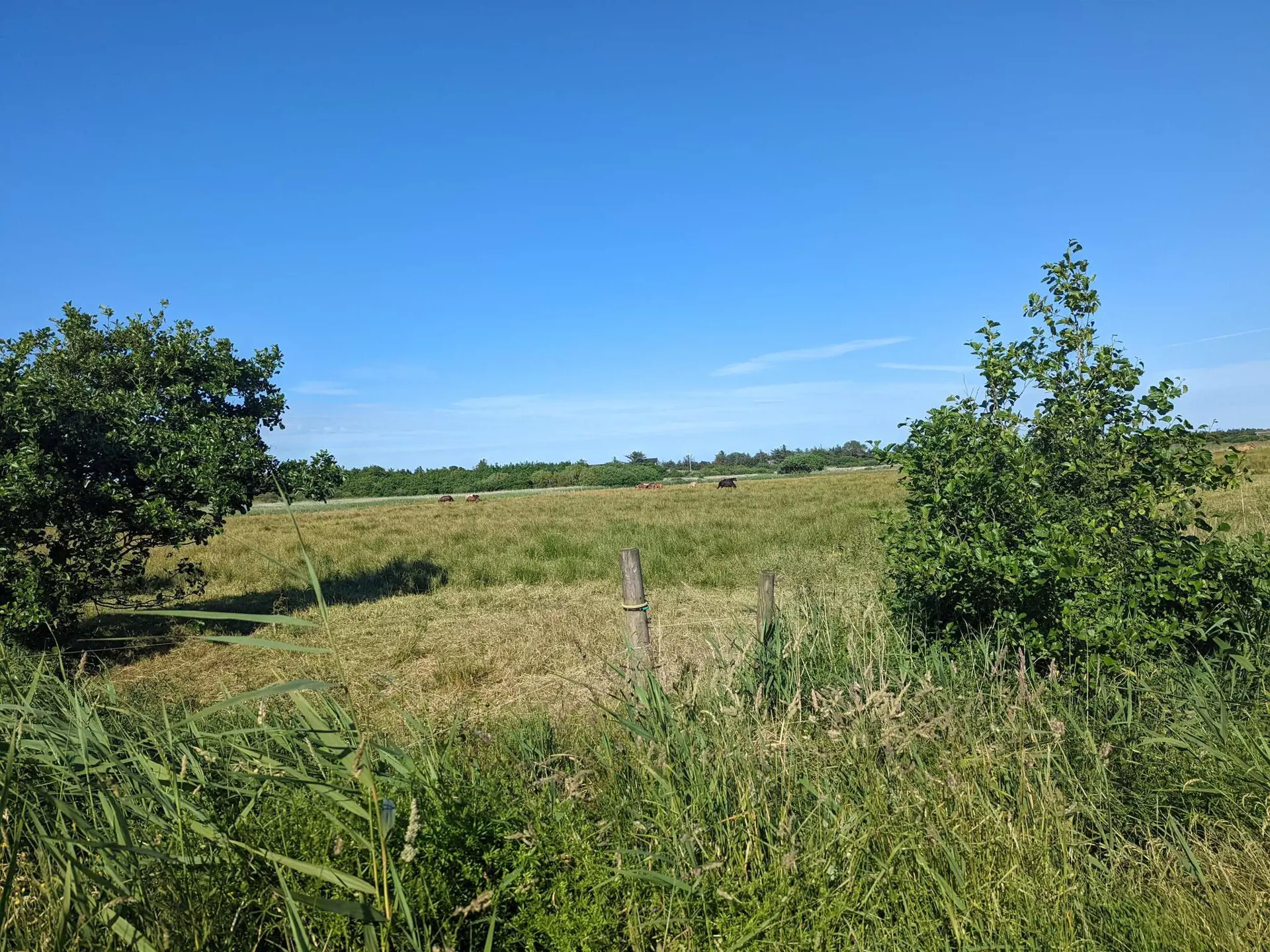 Bild 36 von 36