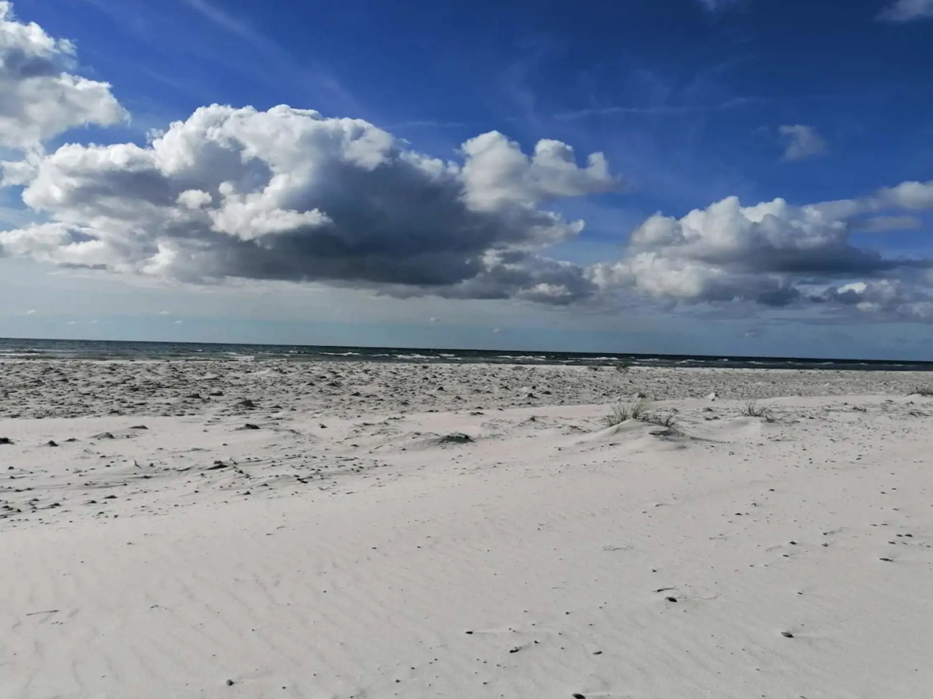Bild 14 von 37