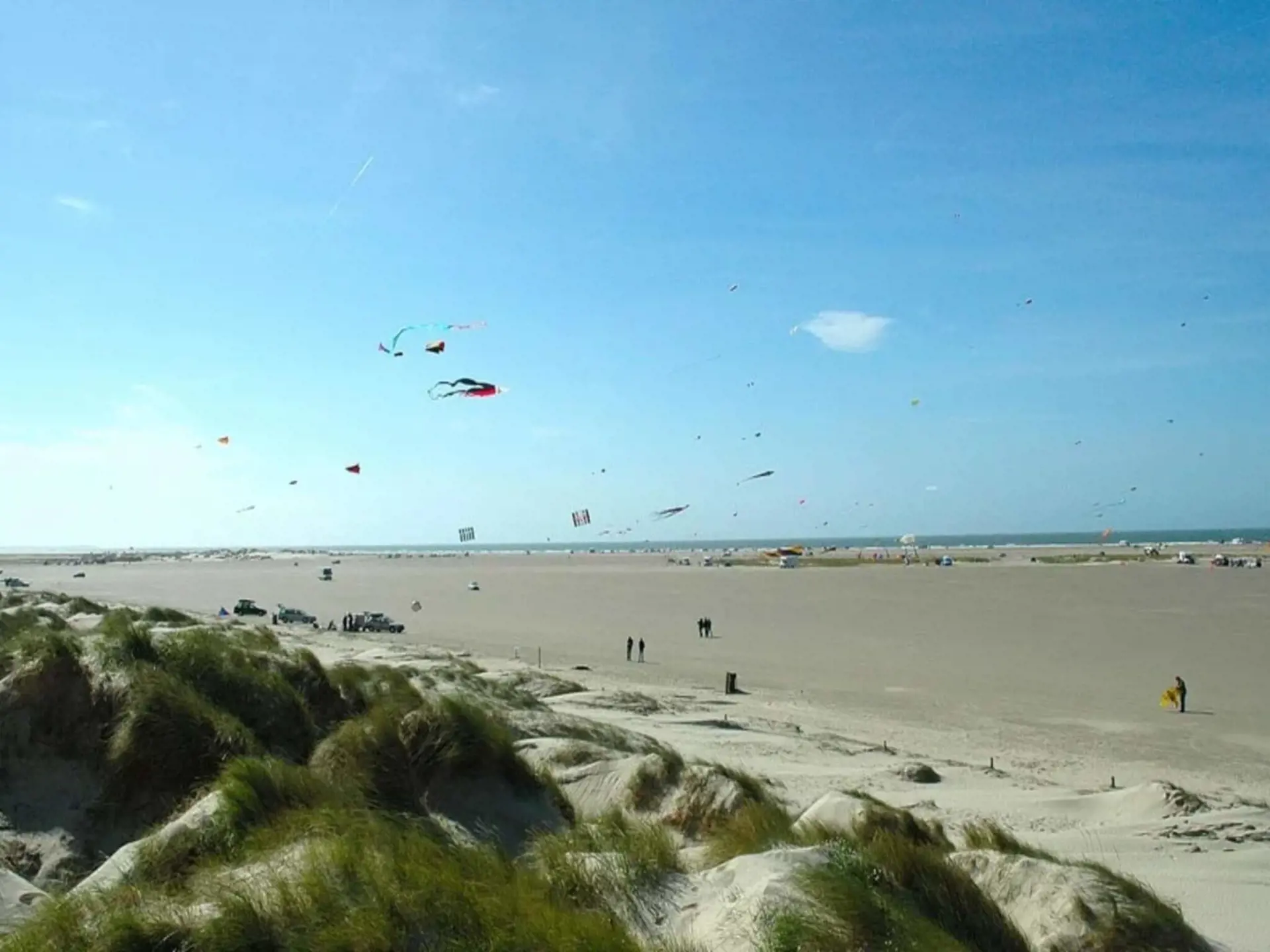 Bild 33 von 36