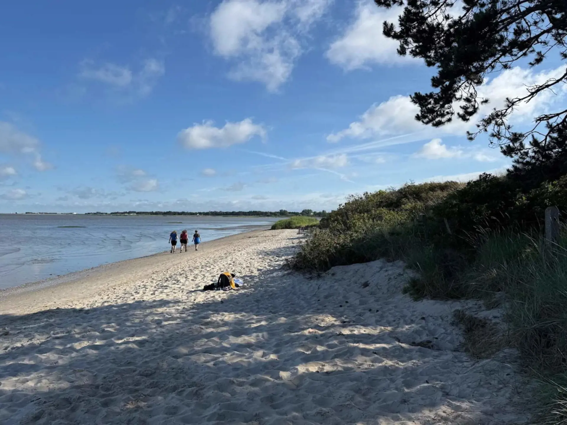 Bild 16 von 37