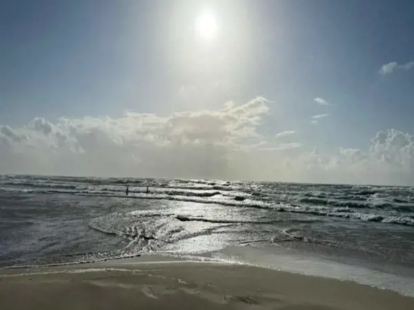 Bild 5 von 33
