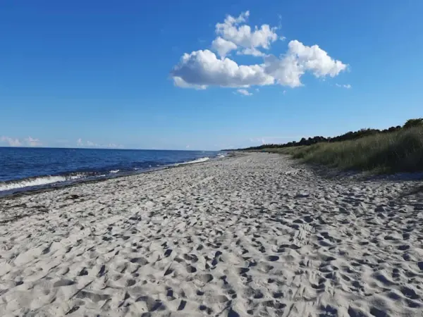 Bild 31 von 54