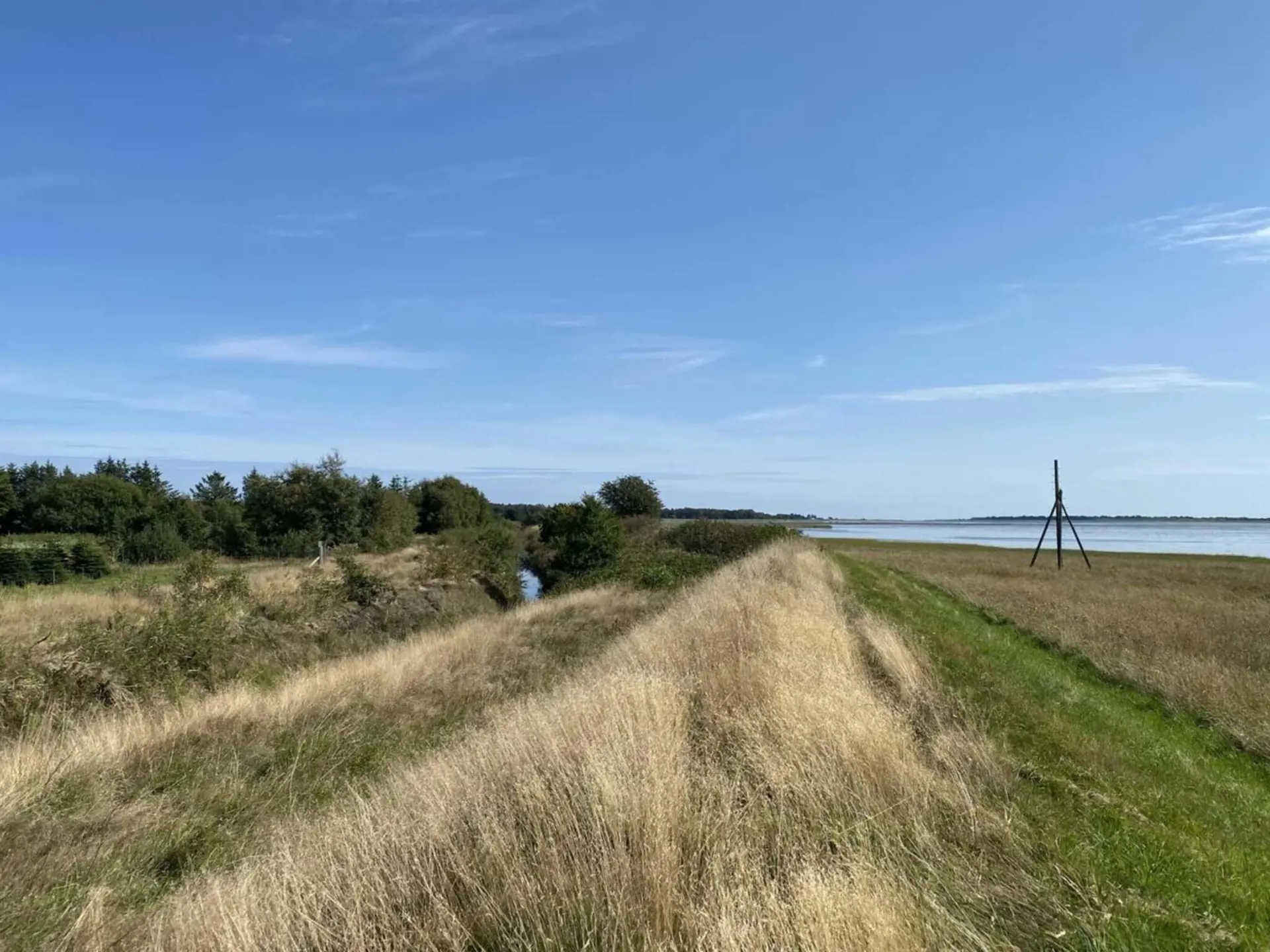 Bild 38 von 45
