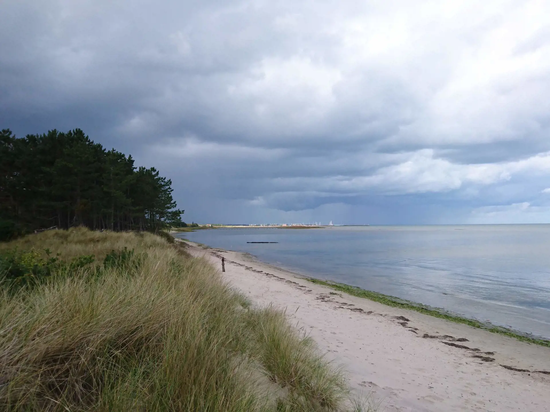 Bild 33 von 35