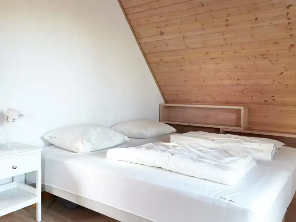 Bild 36 von 55