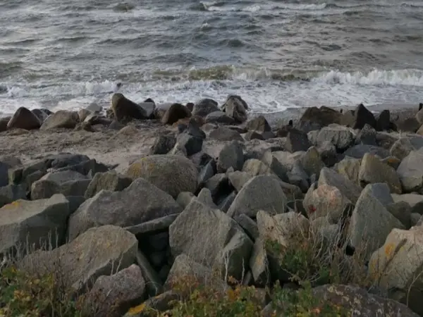 Bild 16 von 31