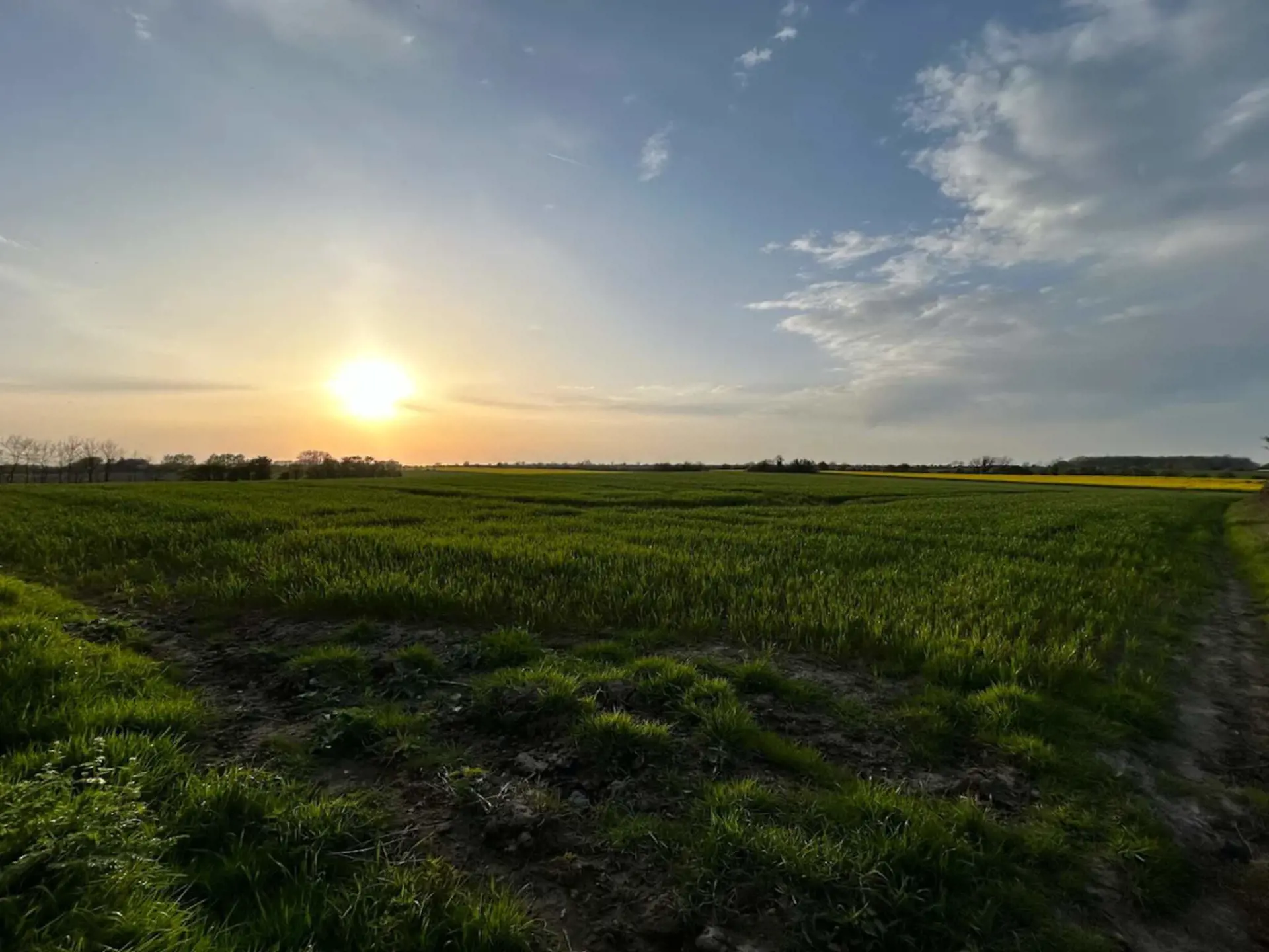 Bild 32 von 36