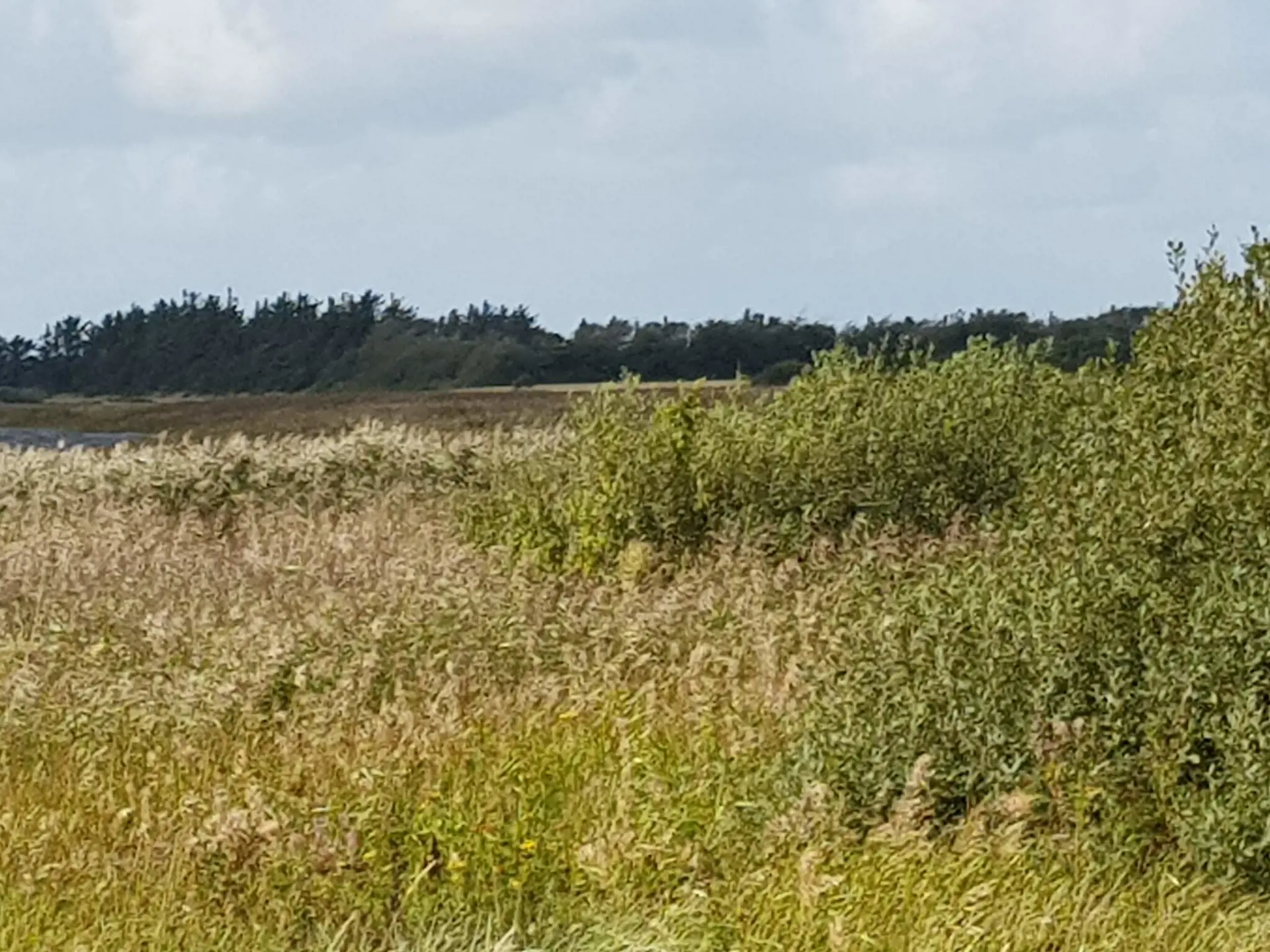 Bild 39 von 40