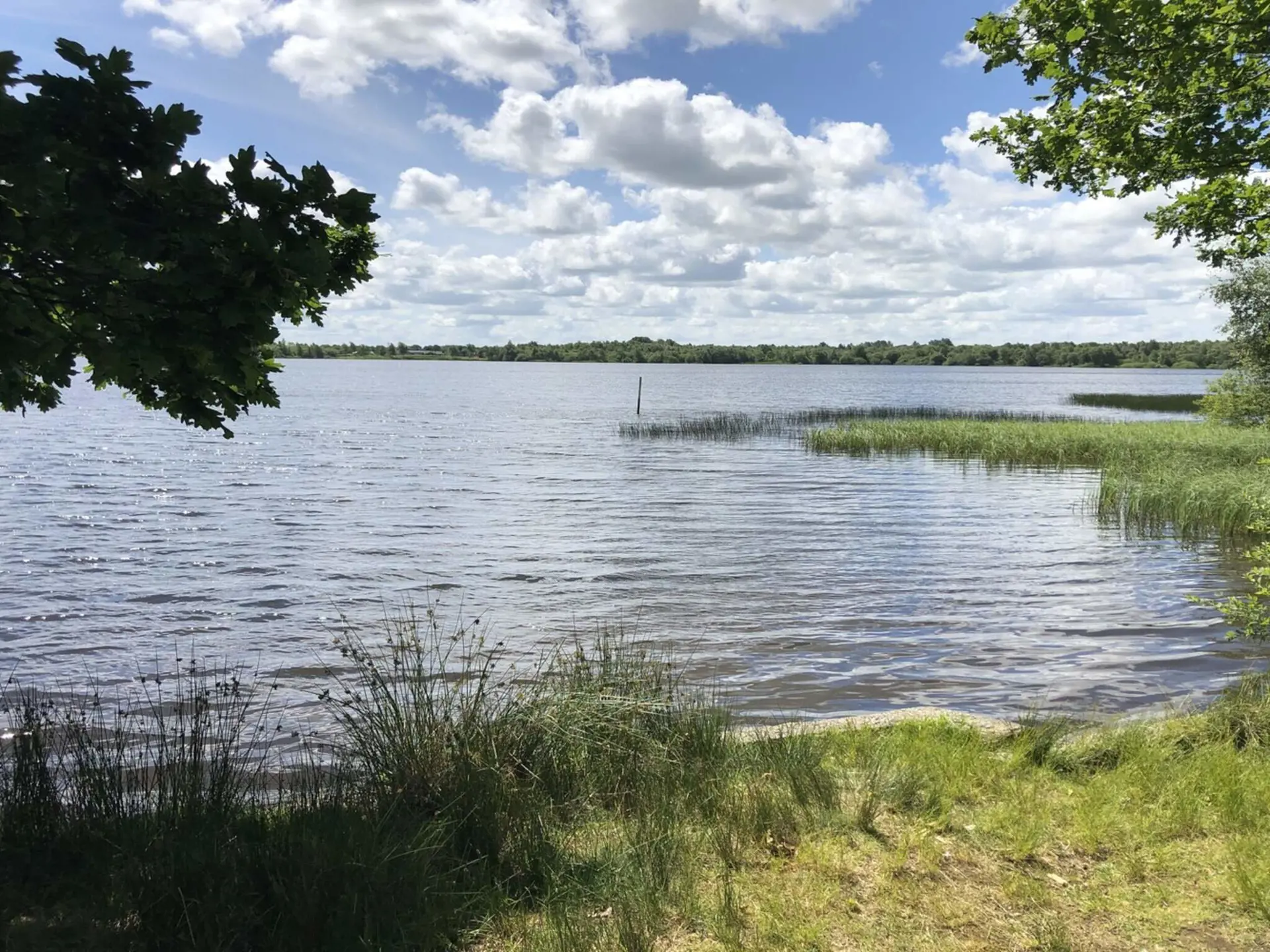 Bild 16 von 34