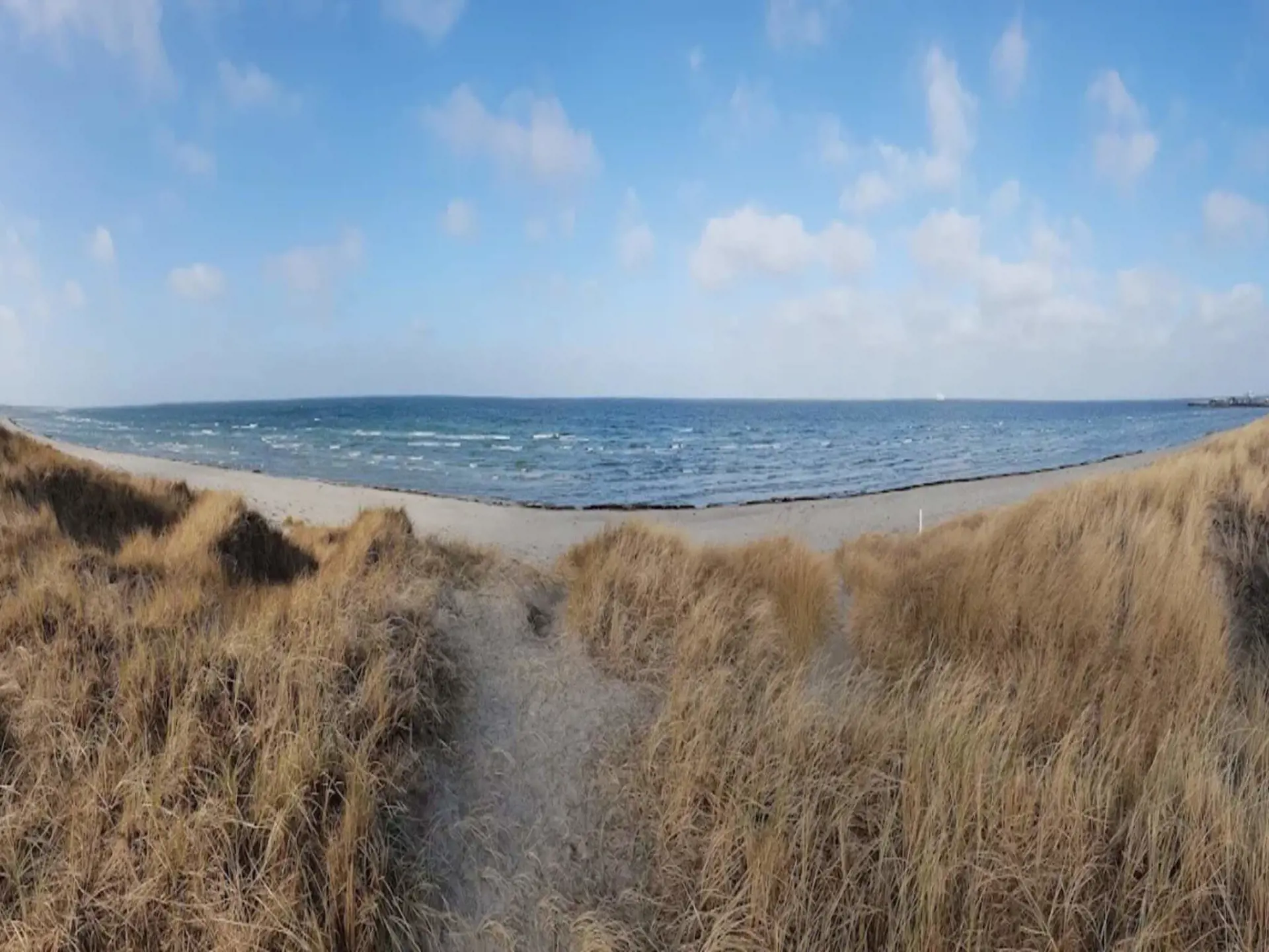Bild 19 von 36