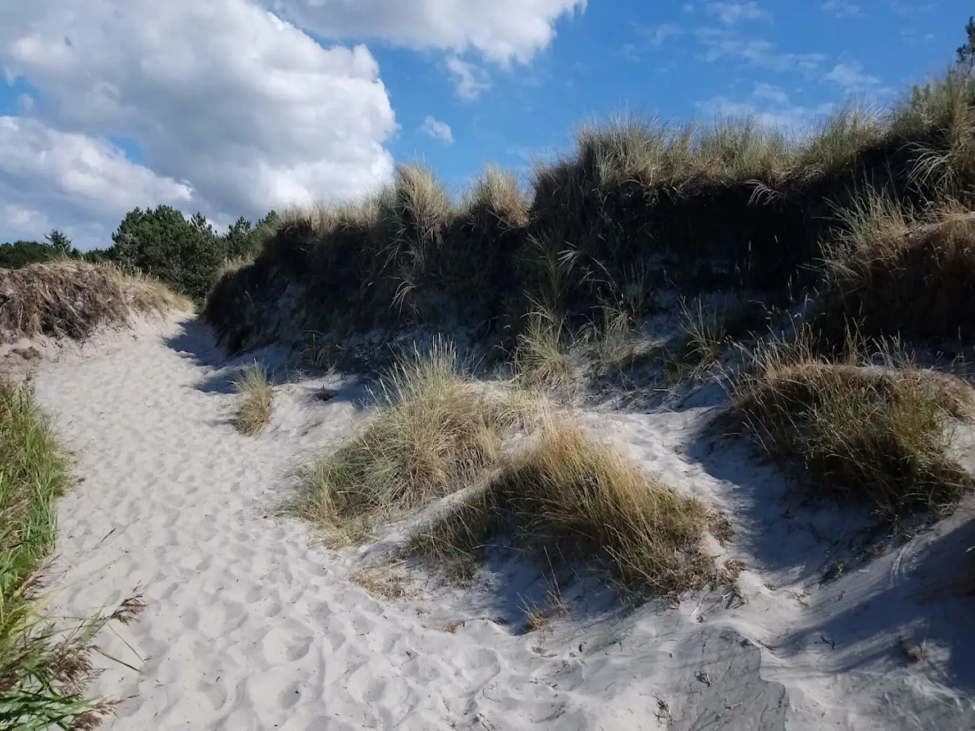 Bild 35 von 36