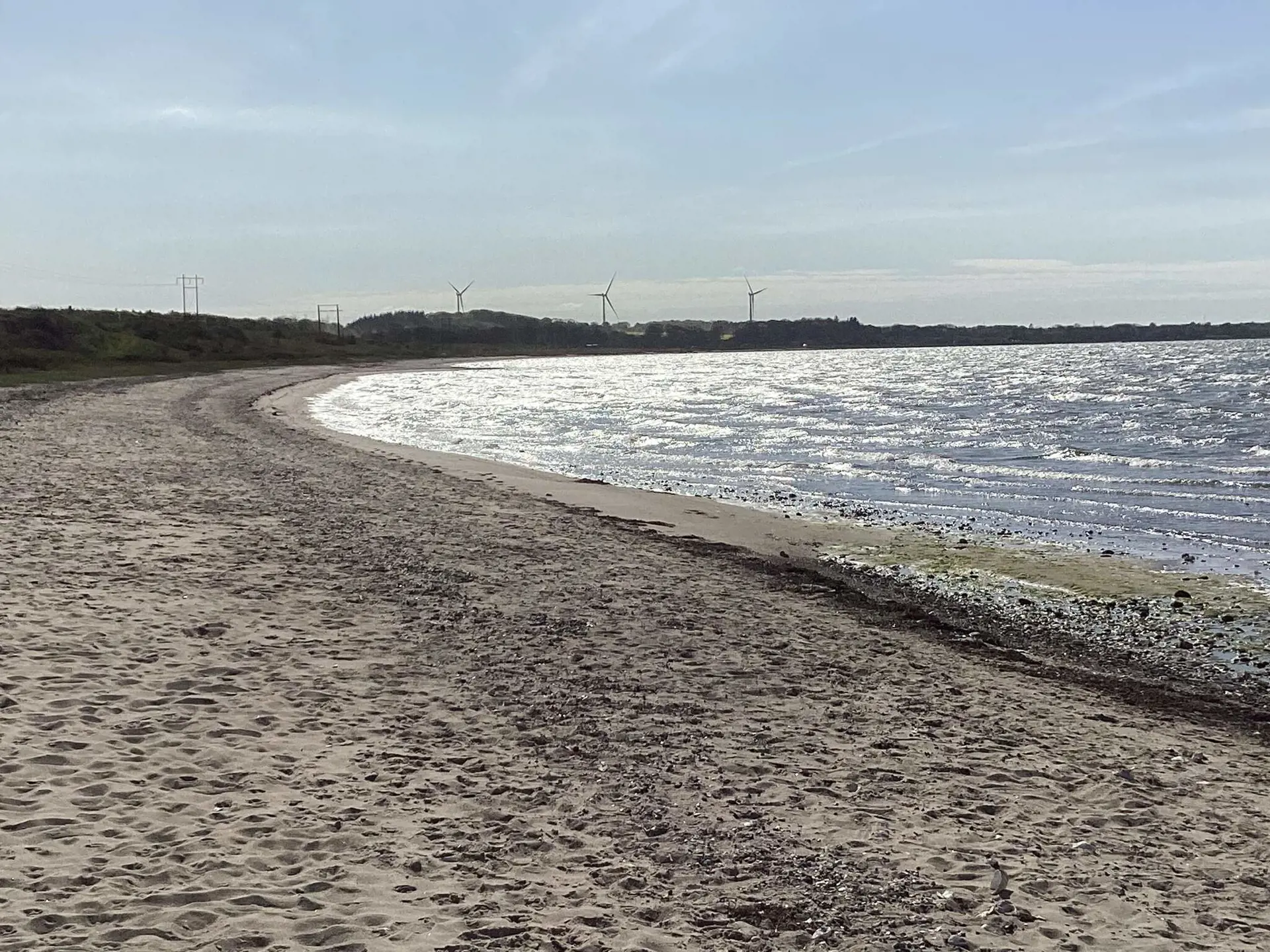 Bild 16 von 39