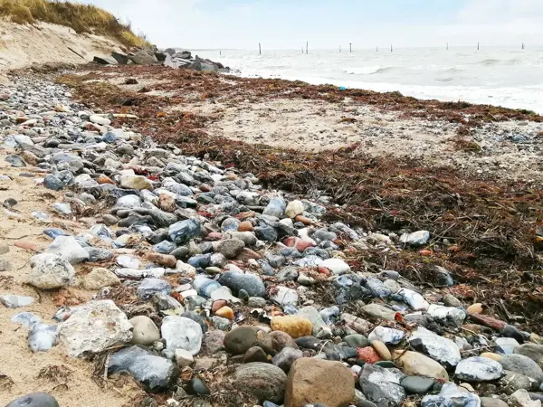Bild 31 von 33