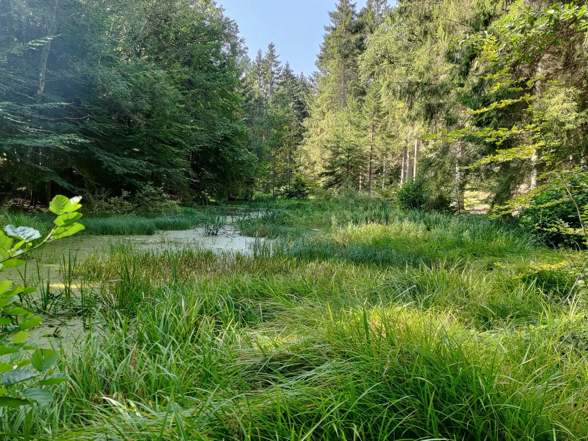 Bild 26 von 35