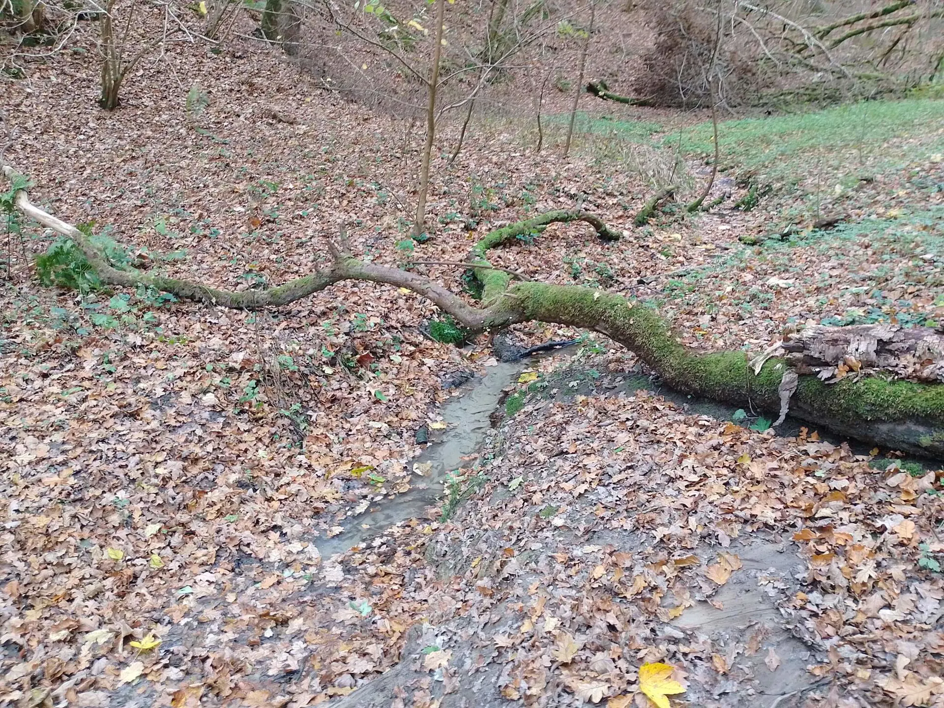 Bild 35 von 35