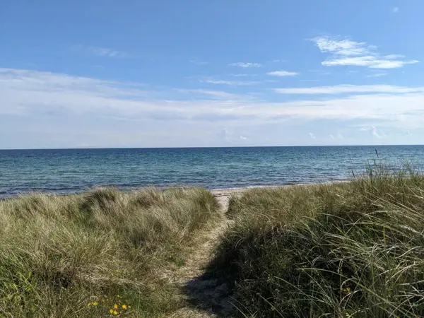Bild 39 von 40