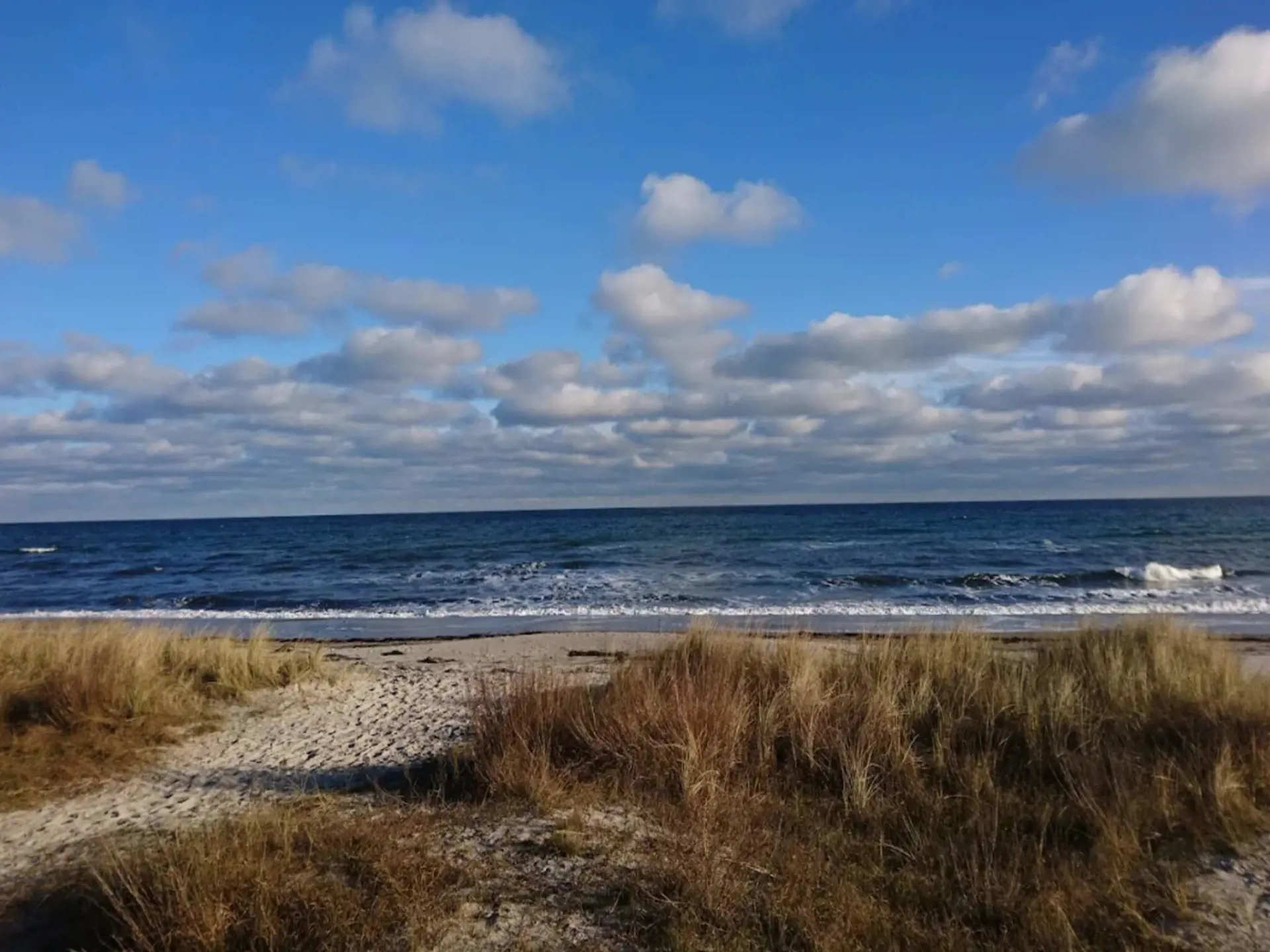 Bild 25 von 49