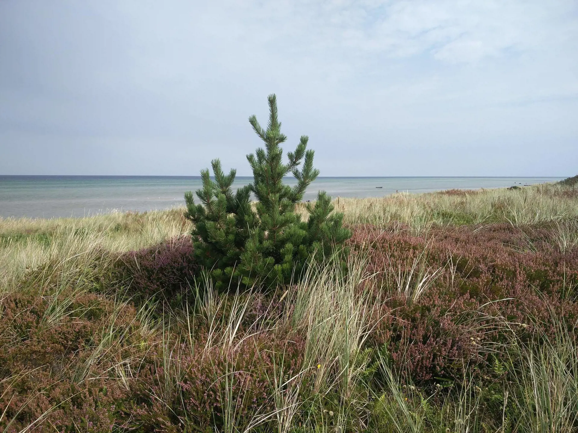 Bild 36 von 38