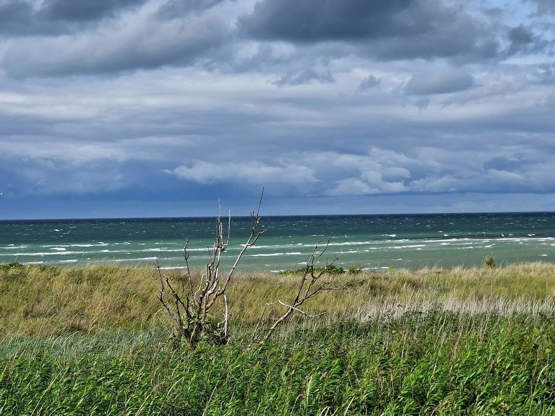 Bild 37 von 38