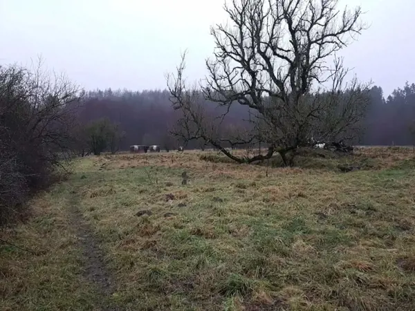 Bild 26 von 41