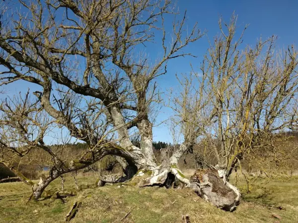Bild 40 von 41
