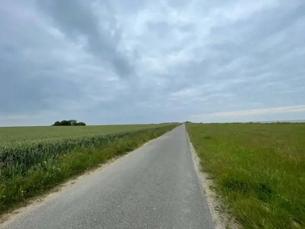 Bild 54 von 55