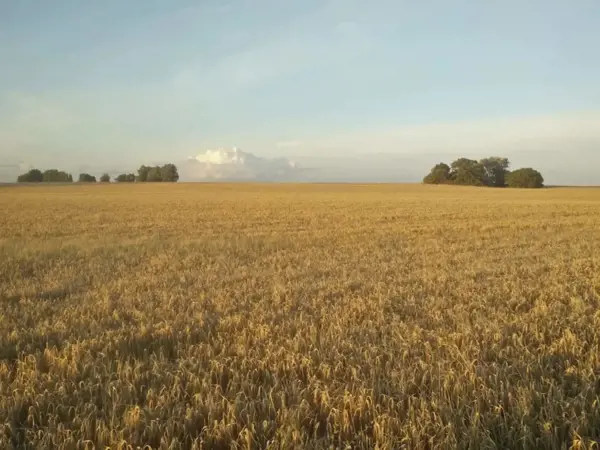 Bild 55 von 55