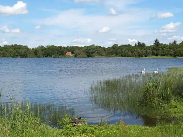 Bild 9 von 30