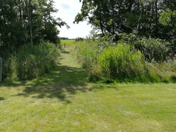 Bild 39 von 42