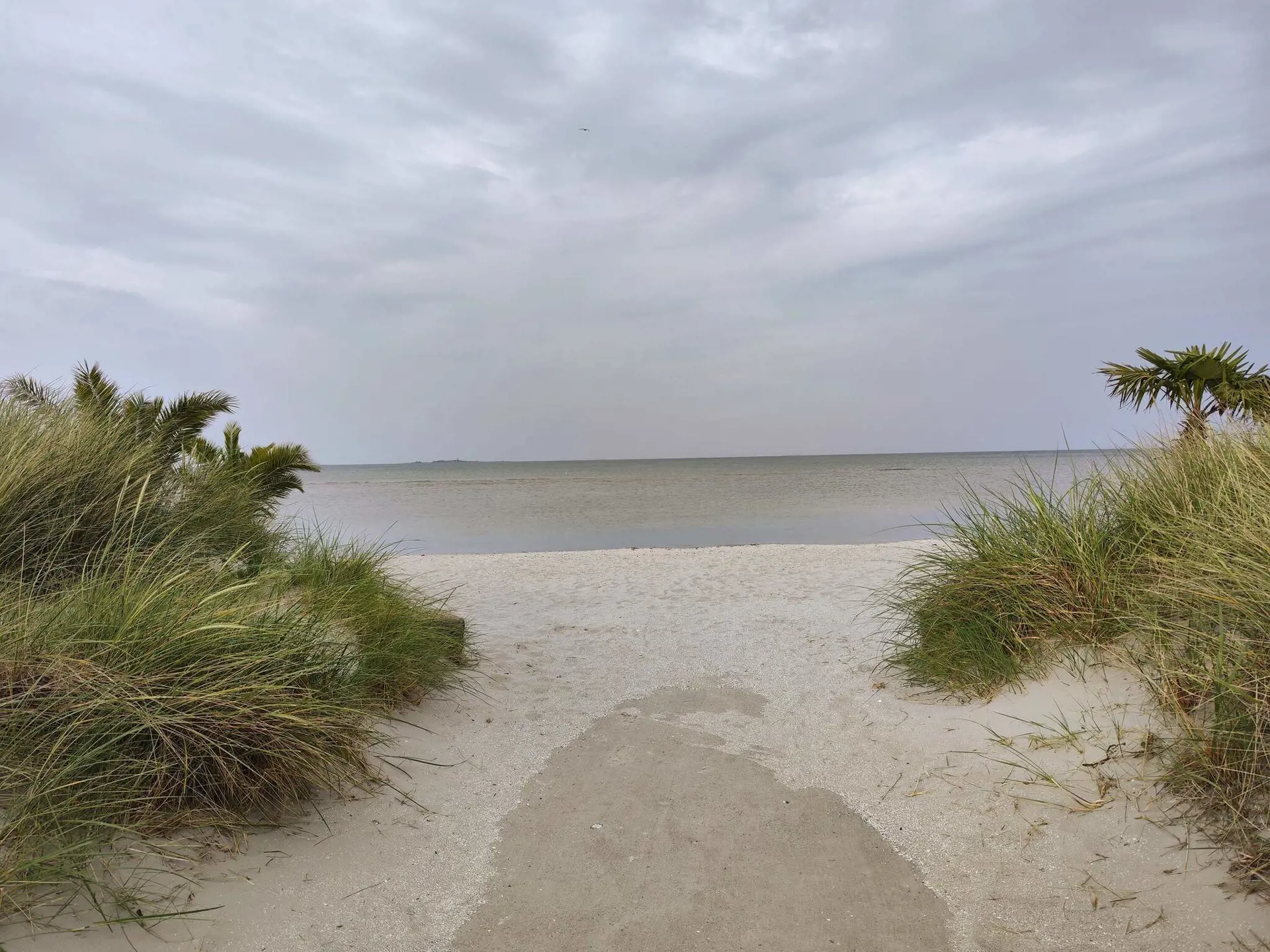 Bild 33 von 40