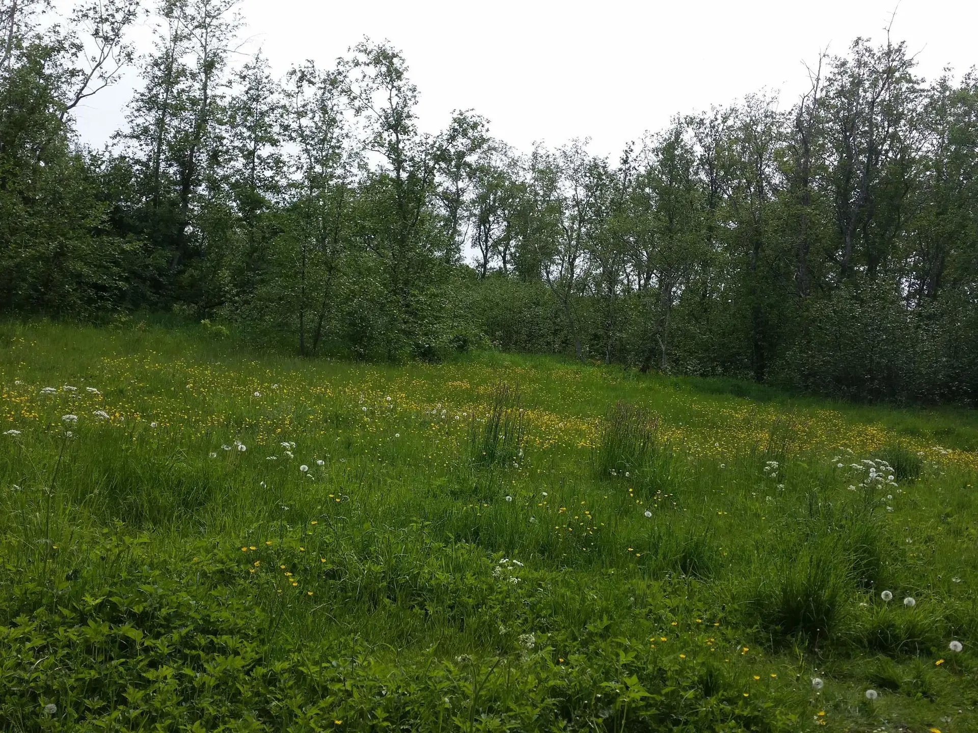 Bild 35 von 40