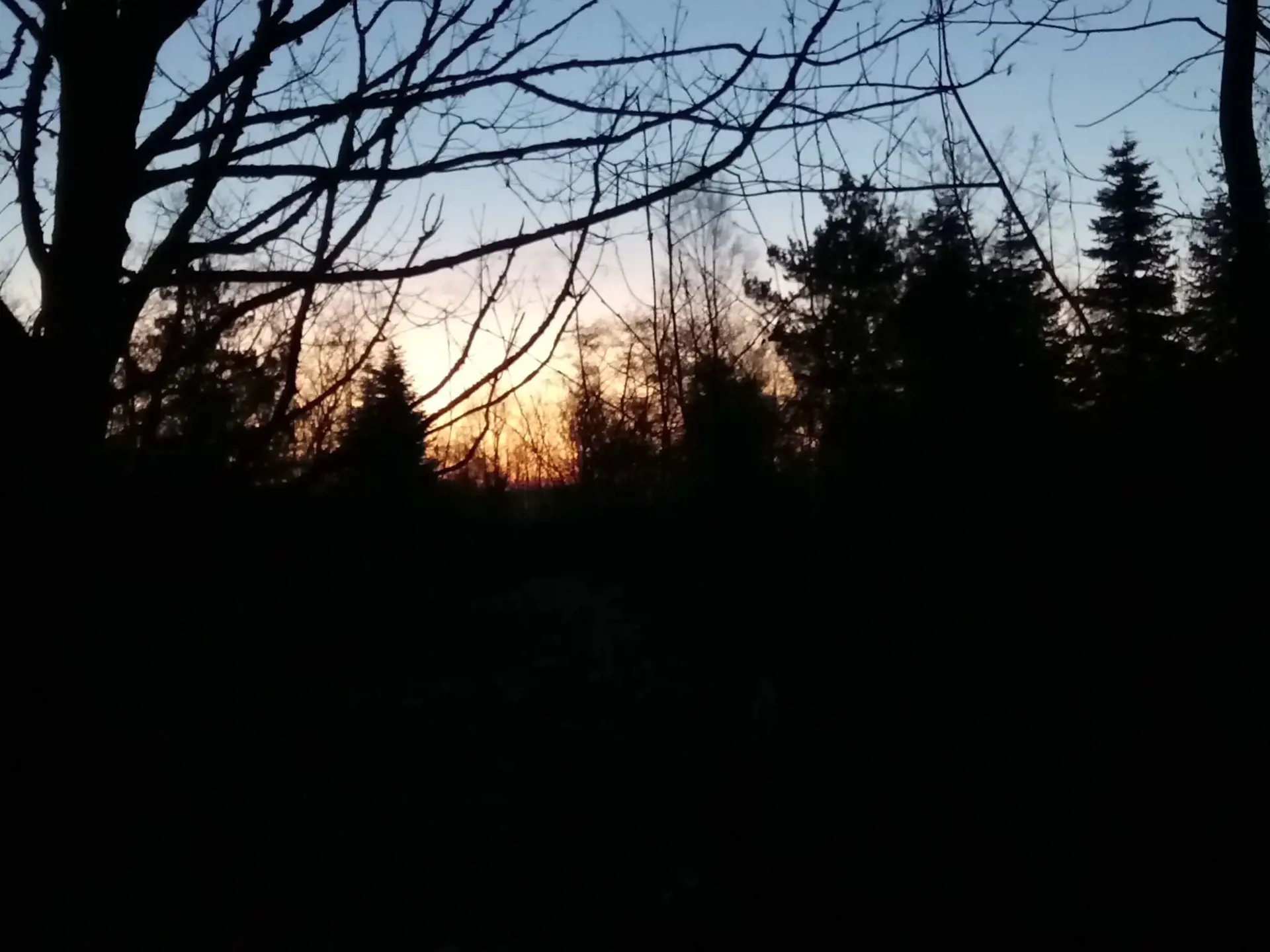 Bild 36 von 40
