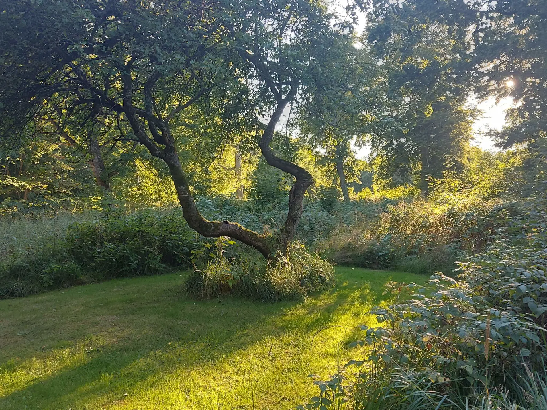 Bild 38 von 40