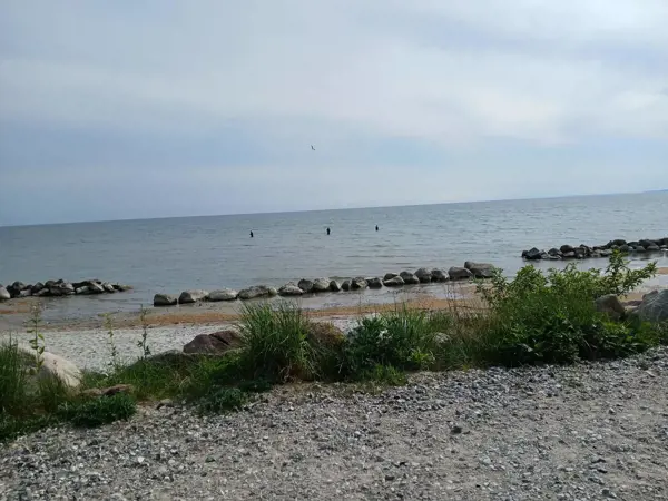 Bild 16 von 35