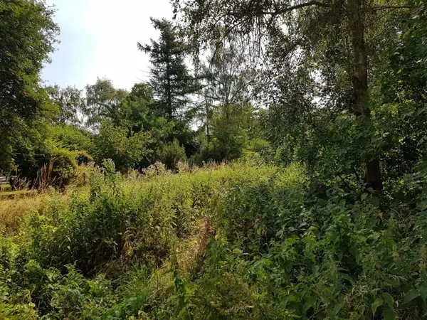 Bild 30 von 35