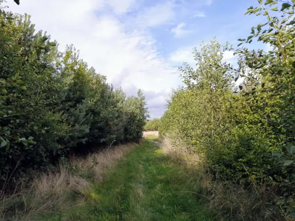 Bild 34 von 35