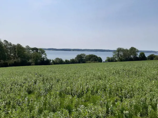 Bild 35 von 35