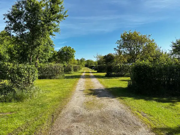 Bild 39 von 40