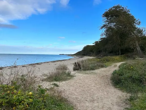 Bild 38 von 55
