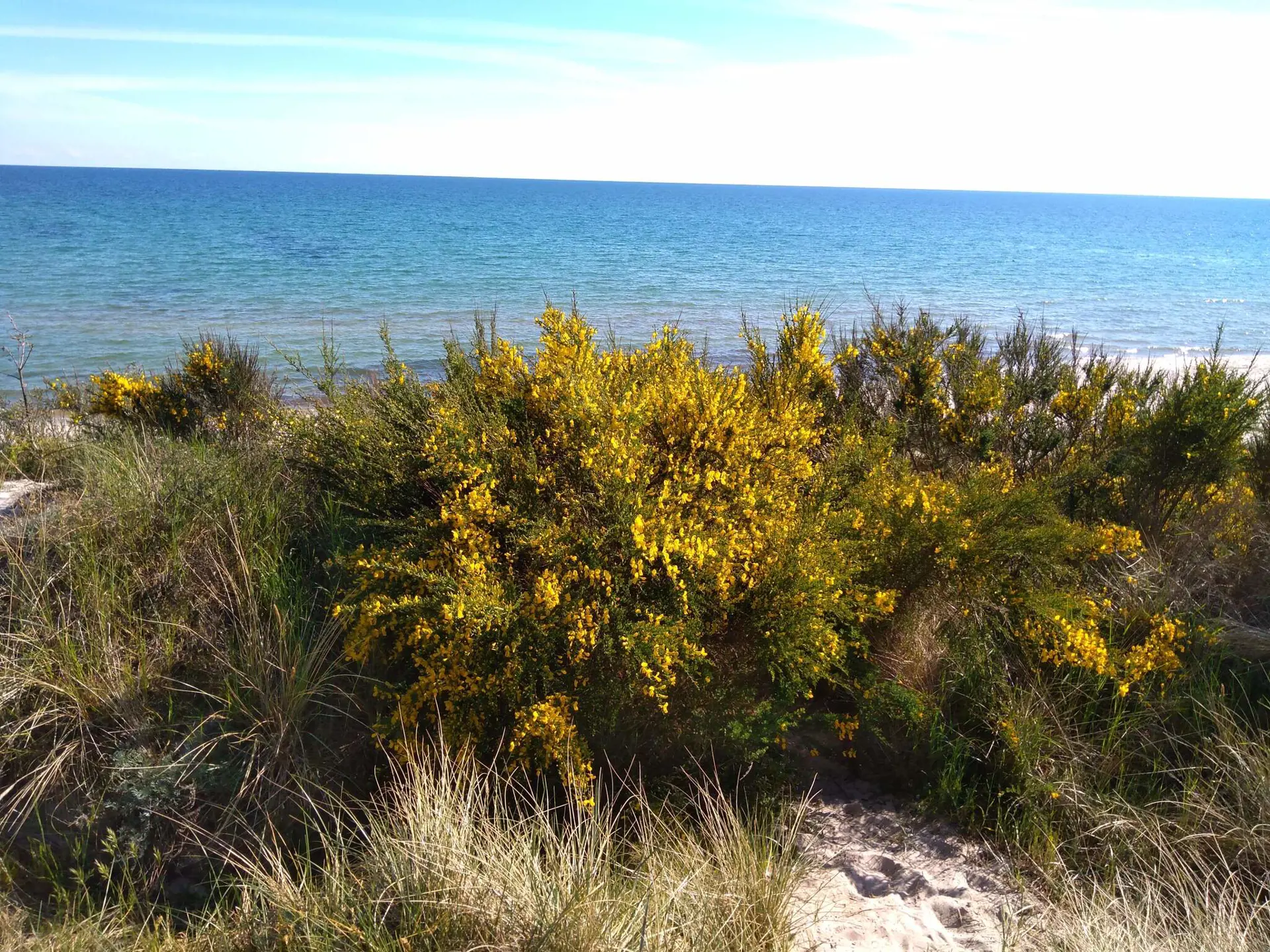 Bild 28 von 36
