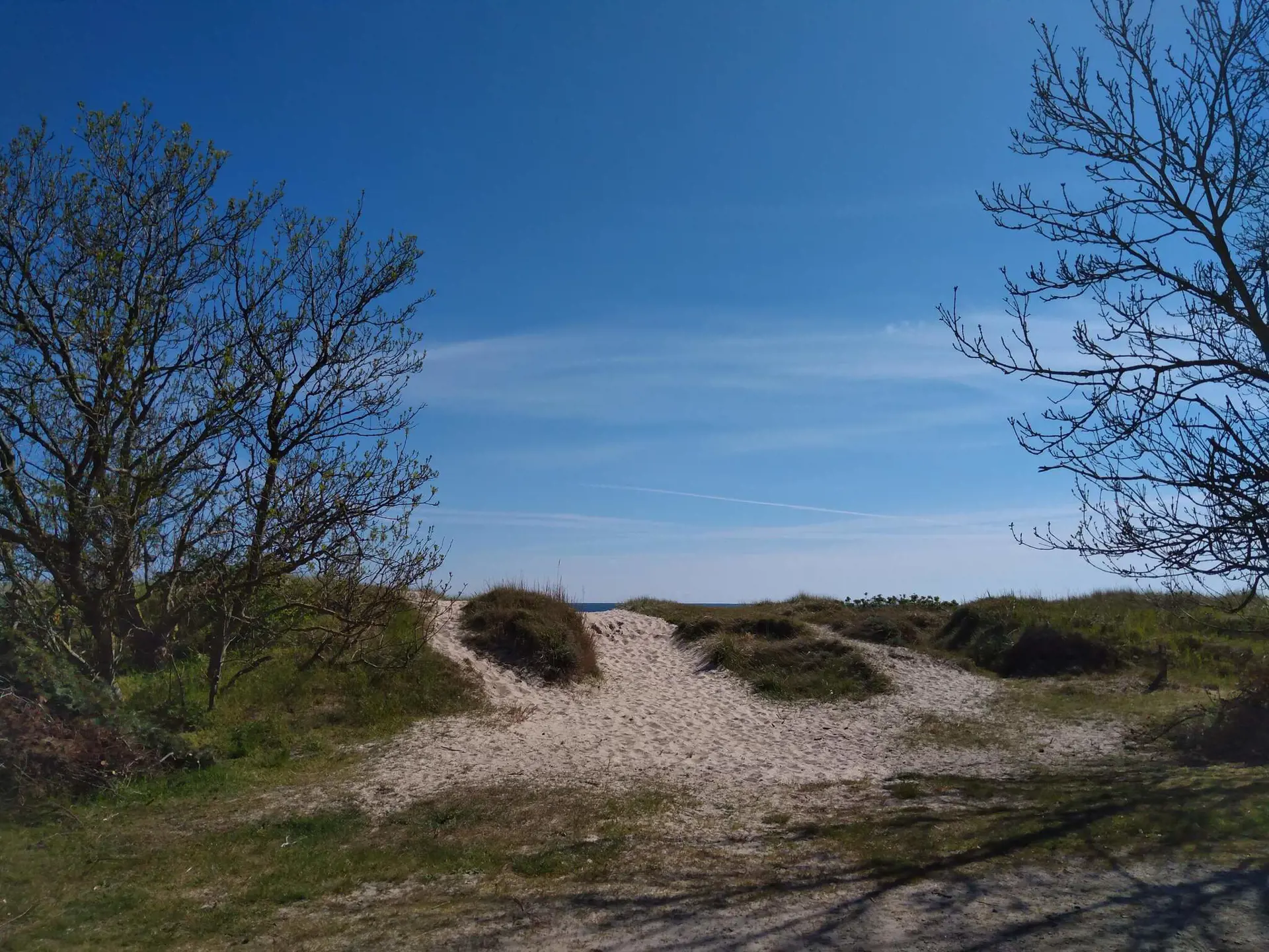 Bild 30 von 36