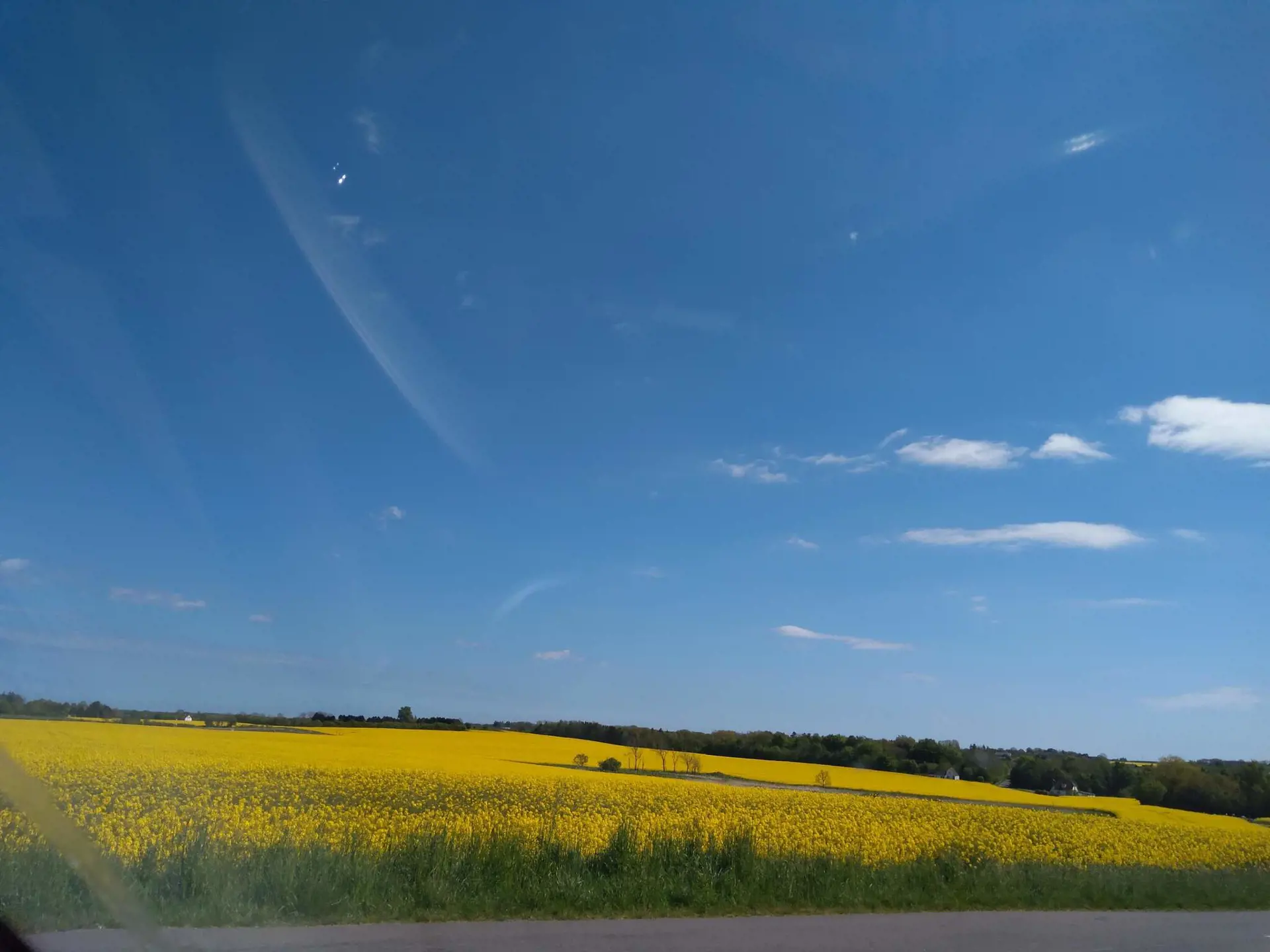 Bild 31 von 36