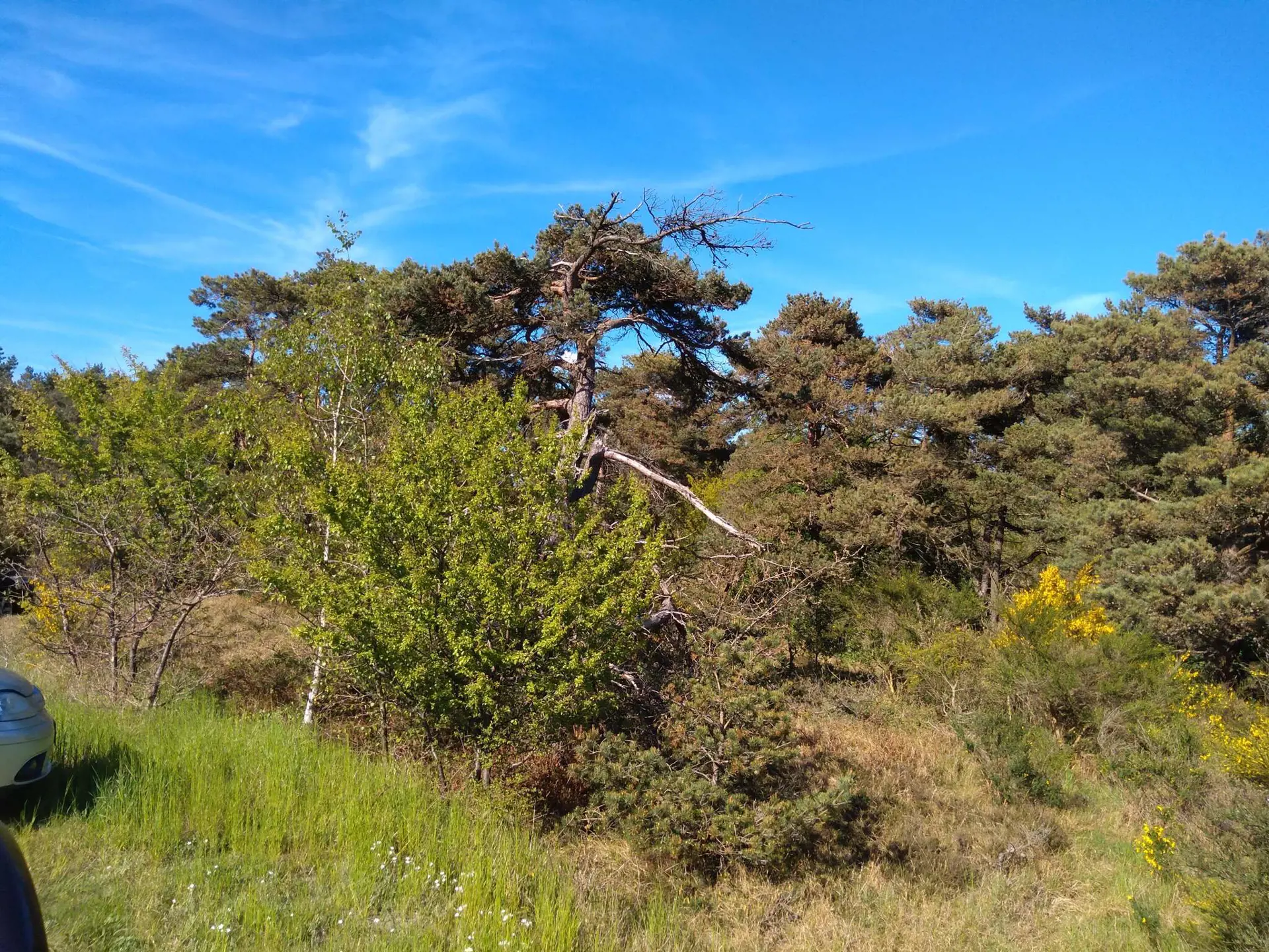 Bild 32 von 36
