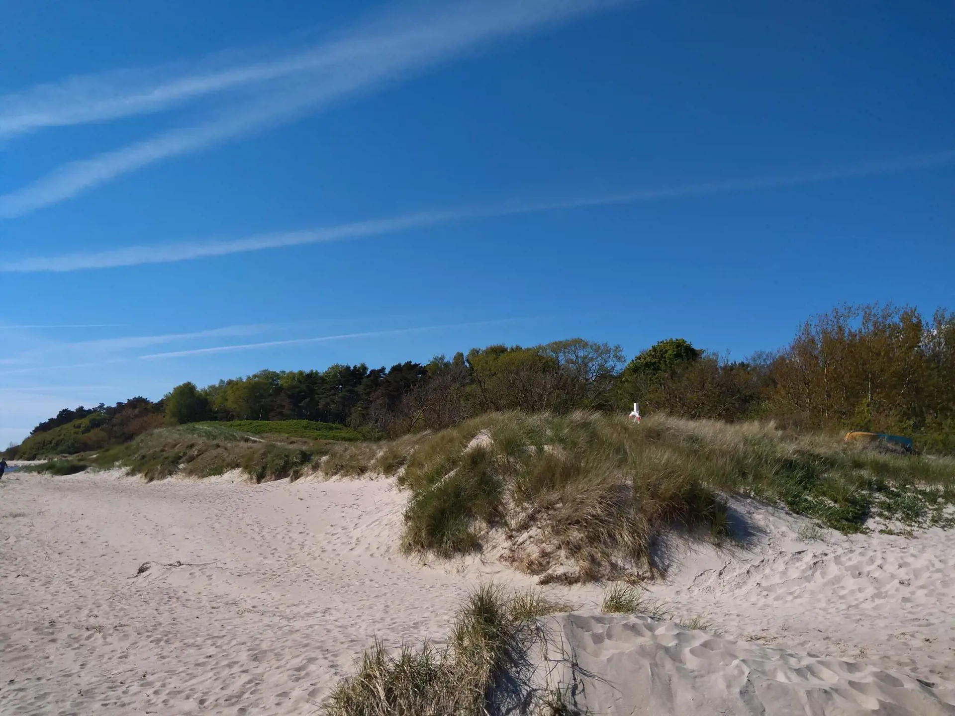 Bild 35 von 36