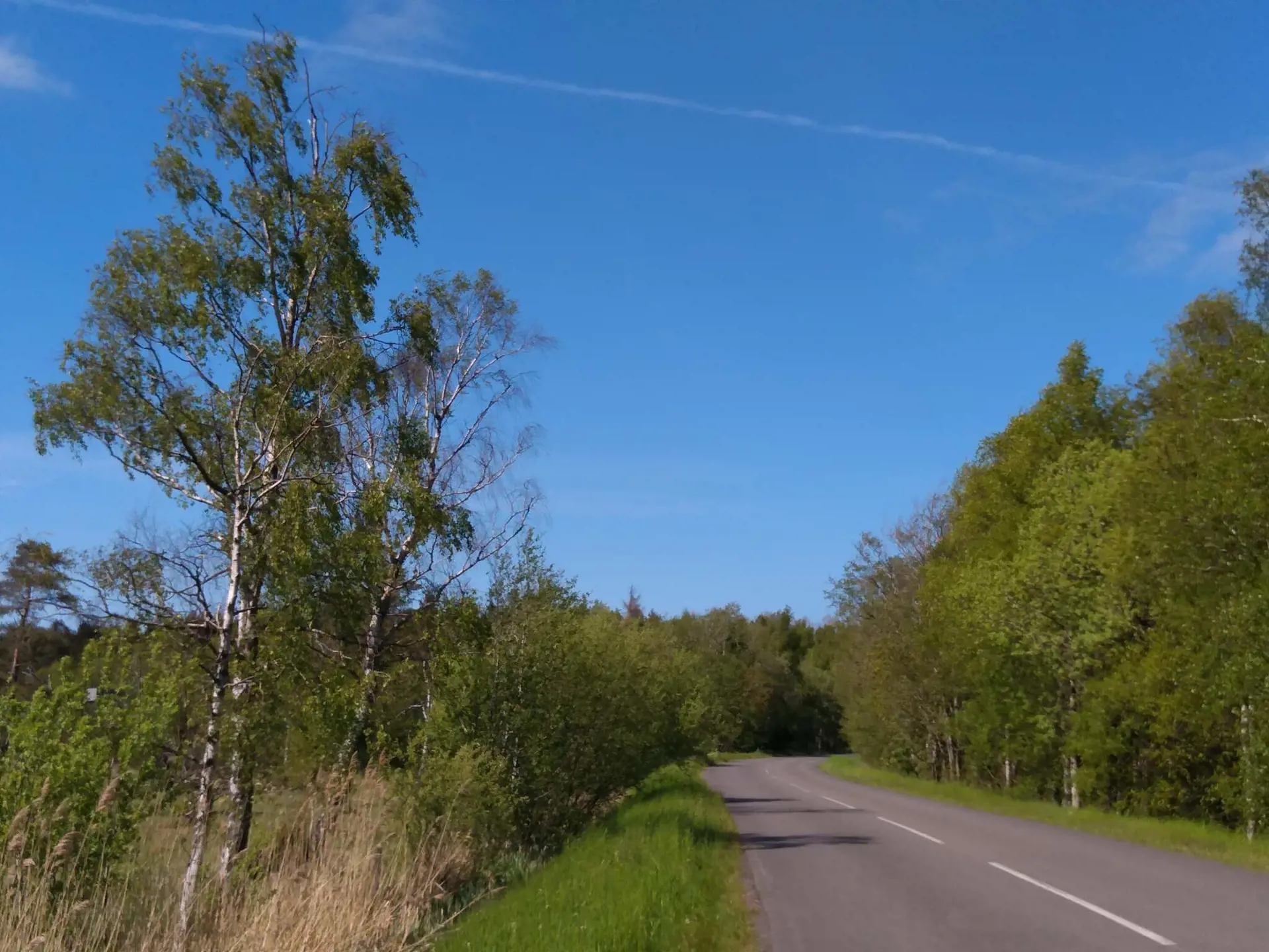 Bild 36 von 36