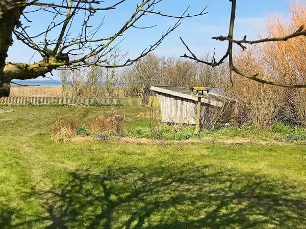 Bild 8 von 29