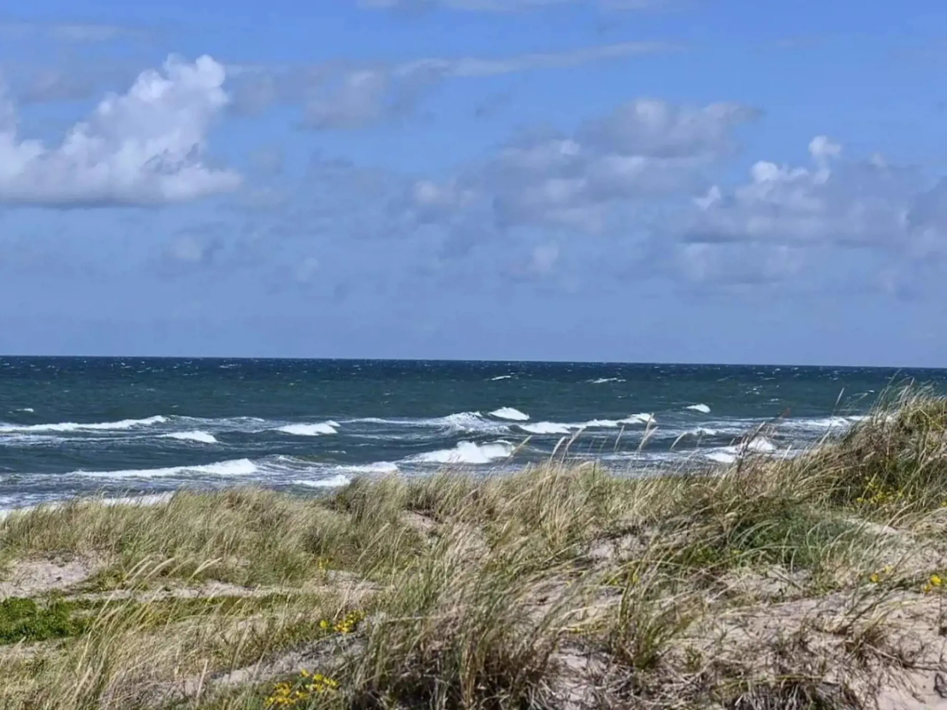 Bild 28 von 55
